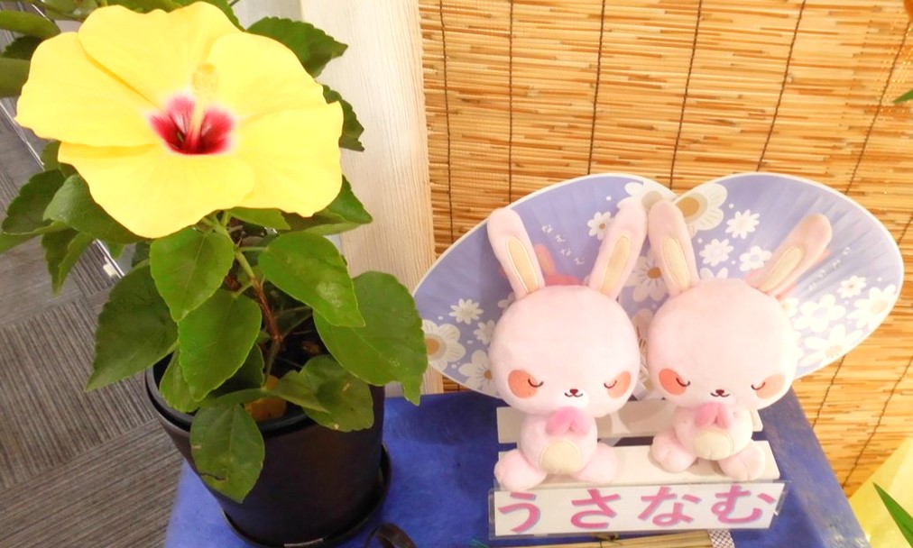 【熱中症対策をお忘れなく】